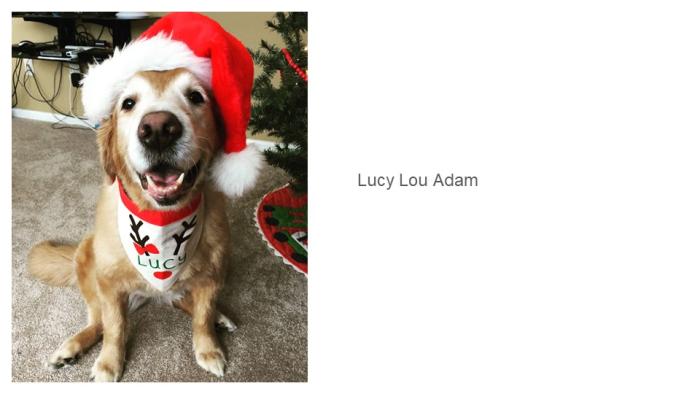 Lucy Lou Adam